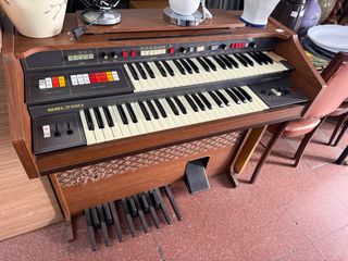 Órgano BELTON JEWEL 3100