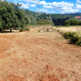 Desbroce tala poda limpieza en general