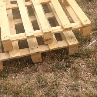 Desbroce tala poda limpieza en general