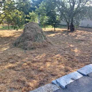 Desbroce tala poda limpieza en general