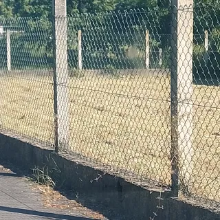 Desbroce tala poda limpieza en general