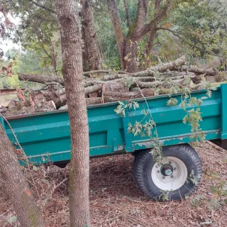 Desbroce tala poda limpieza en general