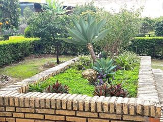 Piso en venta en Suárez en Málaga