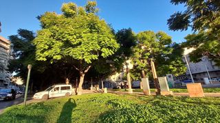 Dúplex en venta en Carrús Oest - El Toscar en Elche