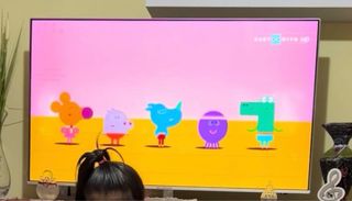 Televisor con pantalla grande