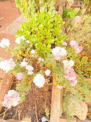 Casa pareada en venta en Guiera - Montflorit en Cerdanyola del Vallès