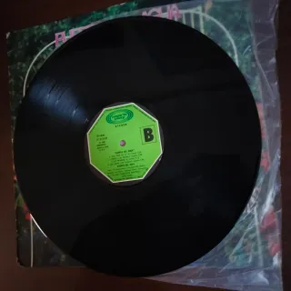 LP 1980 GIPSY ROCK Puerta del Agua Vinilo