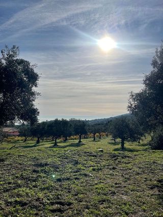 Chalet en venta en Plasencia