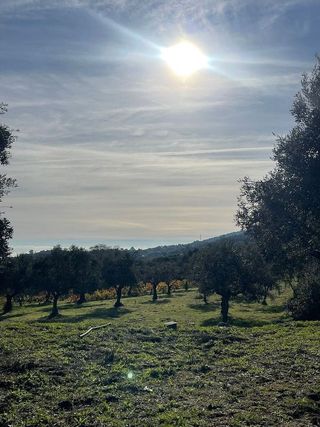 Chalet en venta en Plasencia