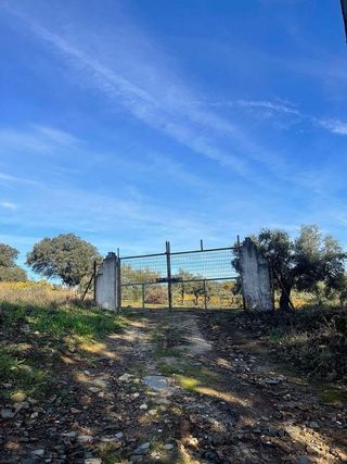 Chalet en venta en Plasencia