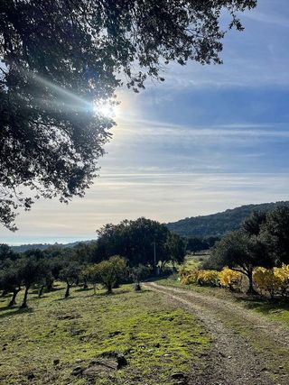 Chalet en venta en Plasencia