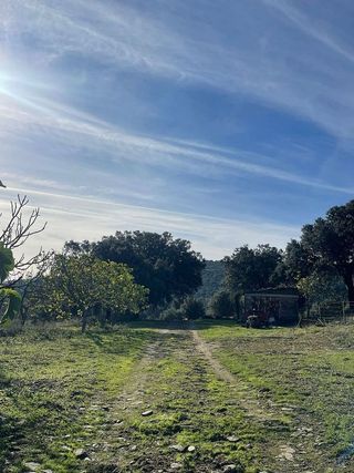 Chalet en venta en Plasencia