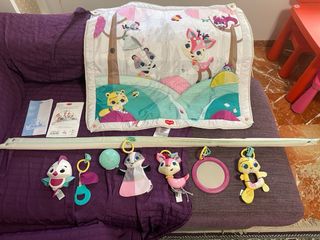 Gimnasio Infantil Evolutivo