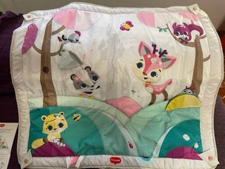 Gimnasio Infantil Evolutivo