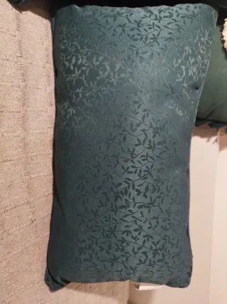 Cortina y cojines decorativos