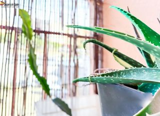 Piso en venta en San Agustín en Alicante