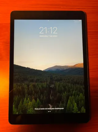 Apple iPad Negro/Plateado