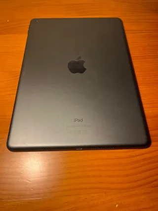 Apple iPad Negro/Plateado
