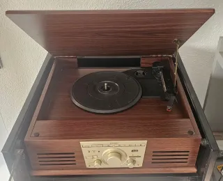 Tocadiscos Sundtech Marrón y Dorado