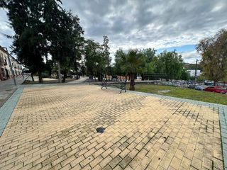 Casa adosada en venta en Marchena