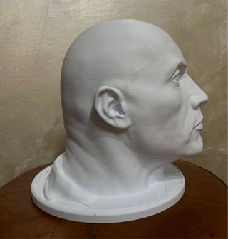 Busto The Rock 3D stampato 25cm