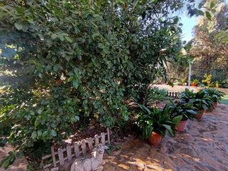 Chalet en venta en Molina de Segura ciudad en Molina de Segura