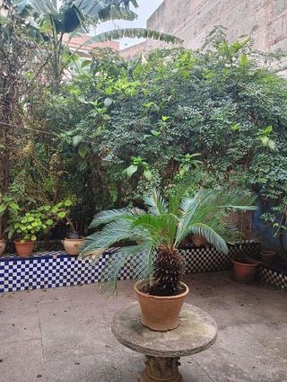 Chalet en venta en Manacor Centro en Manacor