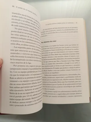 El Poder de un Equipo Positivo Prácticas y prin...