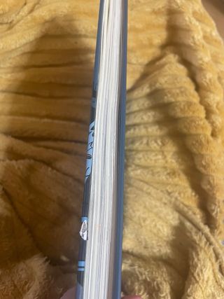 Lechuza Detective-Los 5 salvajes