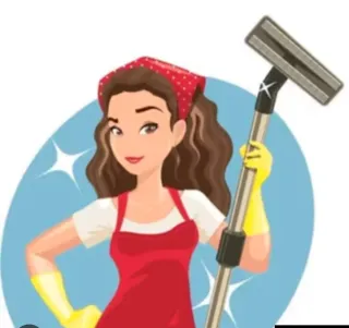 Limpiadora Profesional