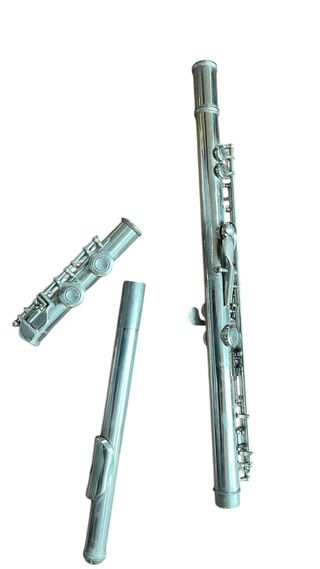 Custodia Flauto Yamaha