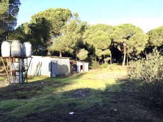 Casa rural en venta en Almonte en Almonte