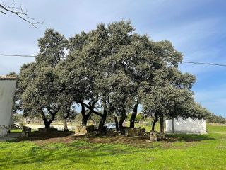 Casa rural en venta en Arroyo de la Luz
