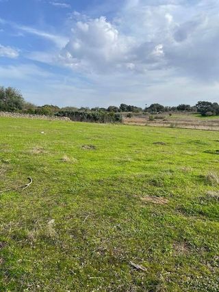 Casa rural en venta en Arroyo de la Luz