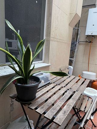 Piso en venta en El Cabanyal- El Canyamelar en Valencia