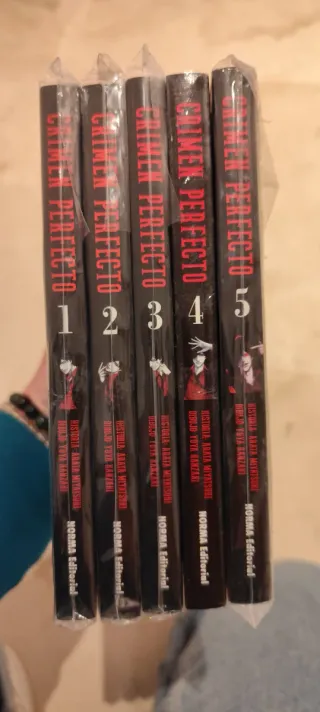 Crimen perfecto 1 (Spanish Edition)