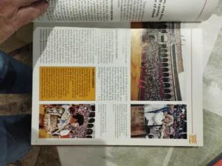 La pasión por los toros