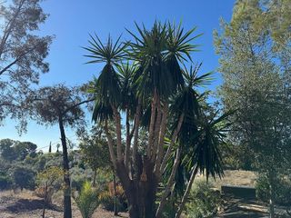 Chalet en venta en El Brillante -El Naranjo - El Tablero en Córdoba