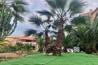 Casa pareada en venta en Torrelamata - La Mata en Torrevieja