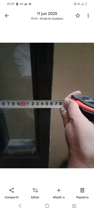 Composición cancela fijo + puerta con cristales.