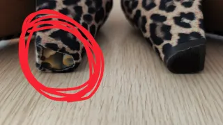 Botines Mustang Talla 38