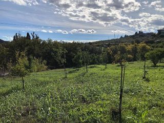 Casa rural en venta en Álora