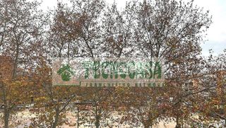 Piso en venta en Centro de Leganés en Leganés