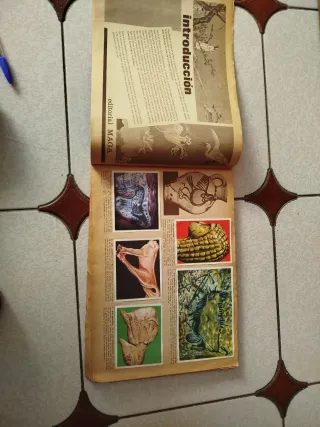 Álbum de cromos antiguo Maga Arte 1971