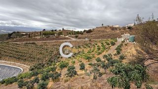 Casa rural en venta en Camino Algarrobo - Las Arenas en Vélez-Málaga