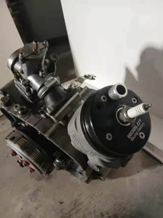 Motor AM6 Bidalot 96WR 2T
