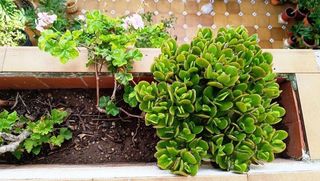 Casa adosada en venta en Riba-roja de Túria