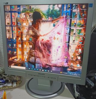 Monitor Philips 170S 17 pollici