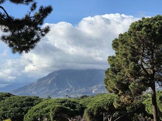 Piso en venta en Elviria en Marbella