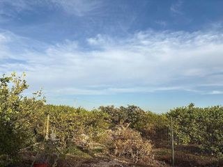 Chalet en venta en Albatera